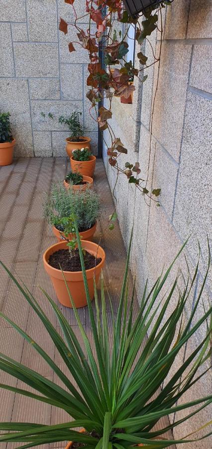 דירות ויסאו O Terraco Florido מראה חיצוני תמונה
